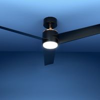 52'' Ceiling Fan DC Motor w/Light w/Remote - Black