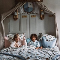 Dana's Hen Pillow PRINCESS | Powder Pink - Model-1DB815