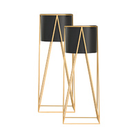 Gold and Black