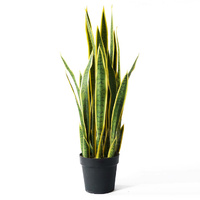 Artificial Indoor Yellow Edge Tiger Piran Fake Decoration Tree Flower Pot Plant