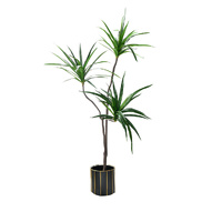 Green Artificial Indoor Brazlian Iron Tree Fake Plant Decorative 3 Heads