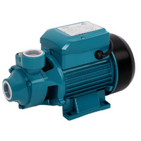 Peripheral Pump Water Garden Boiler Car Wash Irrigation Electric QB60