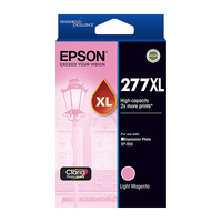 Light MagentaXL