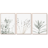 70cmx100cm Lavender Eucalyptus 3 Sets Wood Frame Canvas Wall Art 