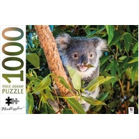 Koala Australia - Mindbogglers 1000 Piece Puzzle