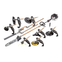 Pole Chainsaw Brush Cutter Whipper Snipper Hedge Trimmer Multi Tool