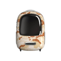 Desert Camon