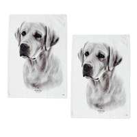Labrador