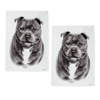 Staffy Terrier