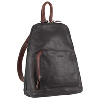 Black and Chestnut