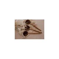 Coco salad spoon and fork Set (Set of 3)
