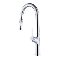 Kitchen Laundry Bathroom Basin Sink Pull Out Mixer Tap Faucet in Chrome