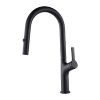 Kitchen Laundry Bathroom Basin Sink Pull Out Mixer Tap Faucet in Black