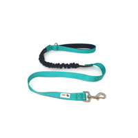 Bungee Dog Lead Nylon w/Reflective Stitching - Moondidley Pets Turquoise