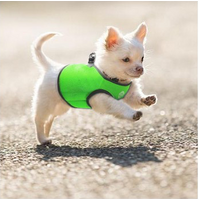 Vest Harness Pet Dog-Cat Step-in Velcro and Buckle Attachments - Moondidley Pets X-Large Light Blue