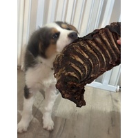 1x Just Kangaroo Rib Racks