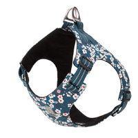 Floral Doggy Harness - Blue, XS - Model-BCC9FD