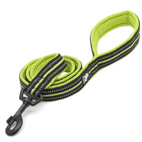 Reflective Pet Leash 2m - Yellow, XS - Model-236012
