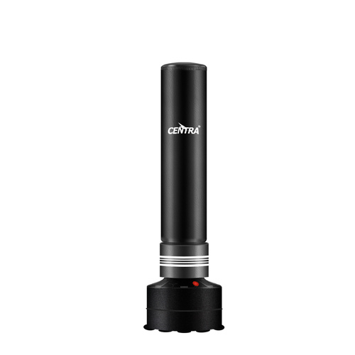 Boxing Punching Bag Free Standing - Model-34AF31